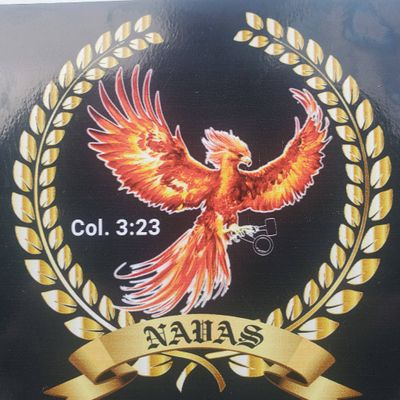 Avatar for Navas pest services