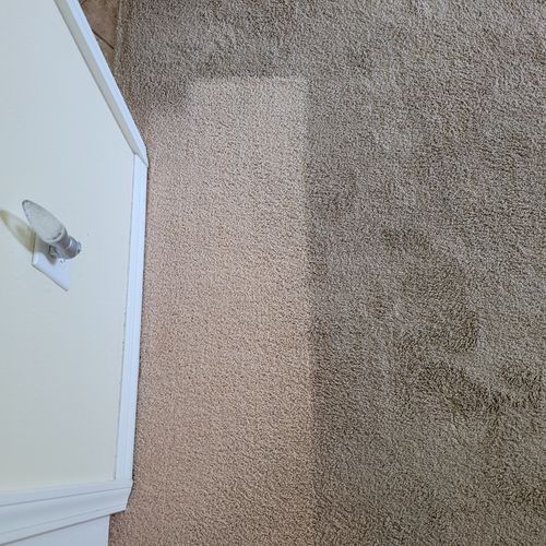 You need your carpets cleaned!