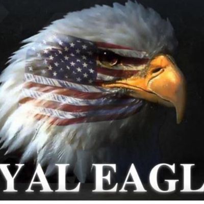 Avatar for Royal Eagle General construction