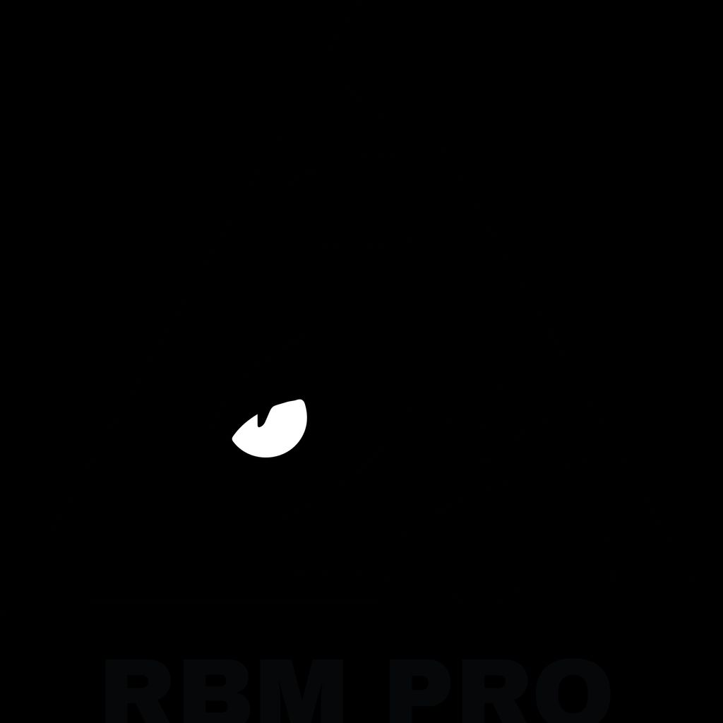 RBM Pro  LLC