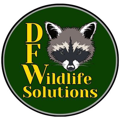 Avatar for DFW Wildlife Solutions
