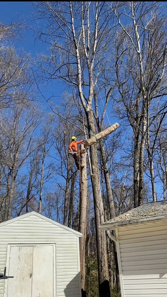 Using double ropes all becomes easy 🏡💪🏼👍