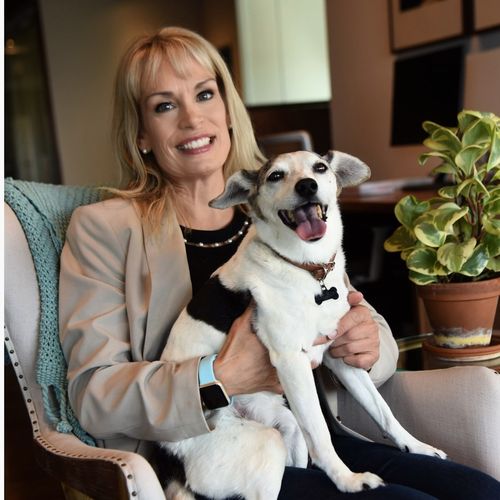 Cozy Touch Interiors