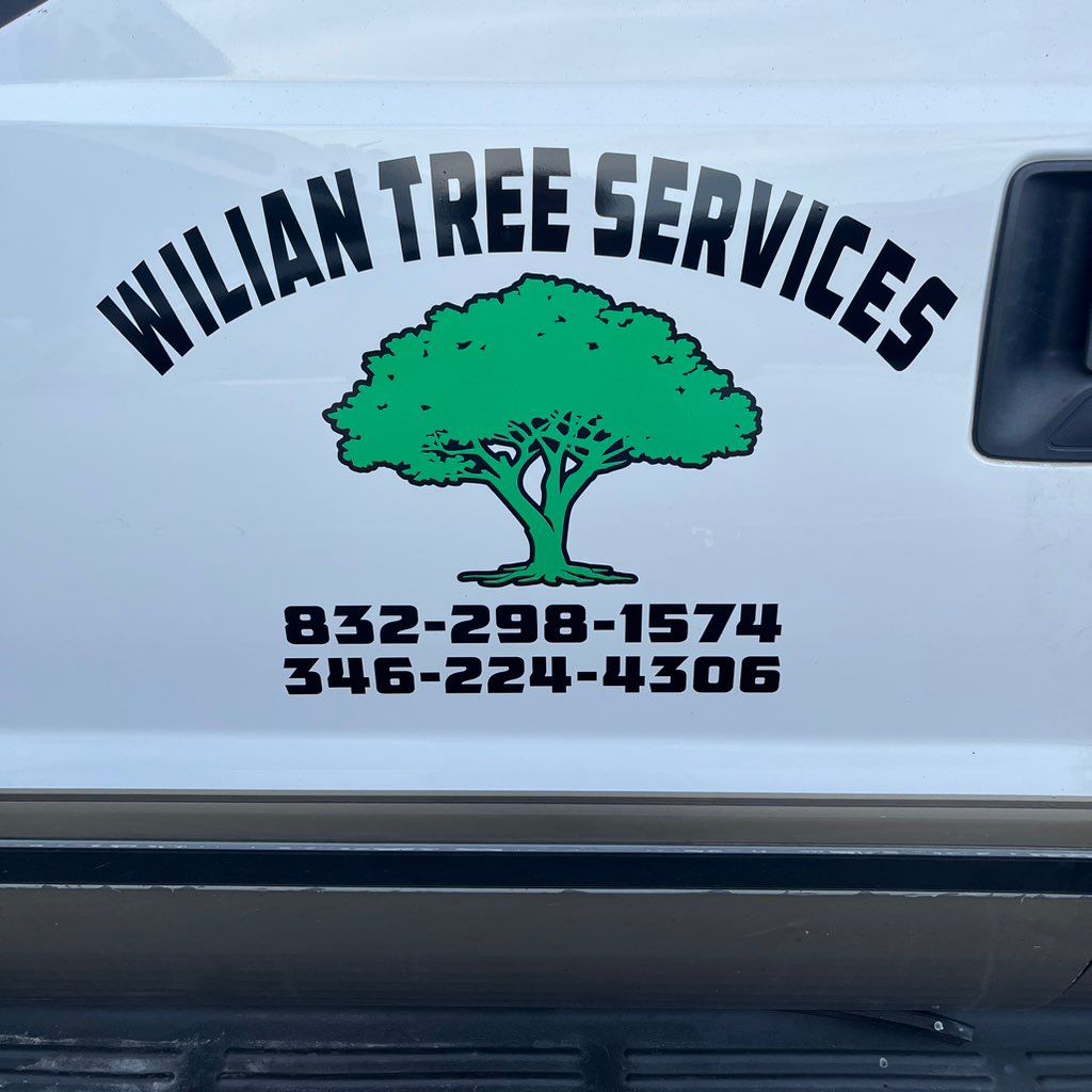 Wilian tree services