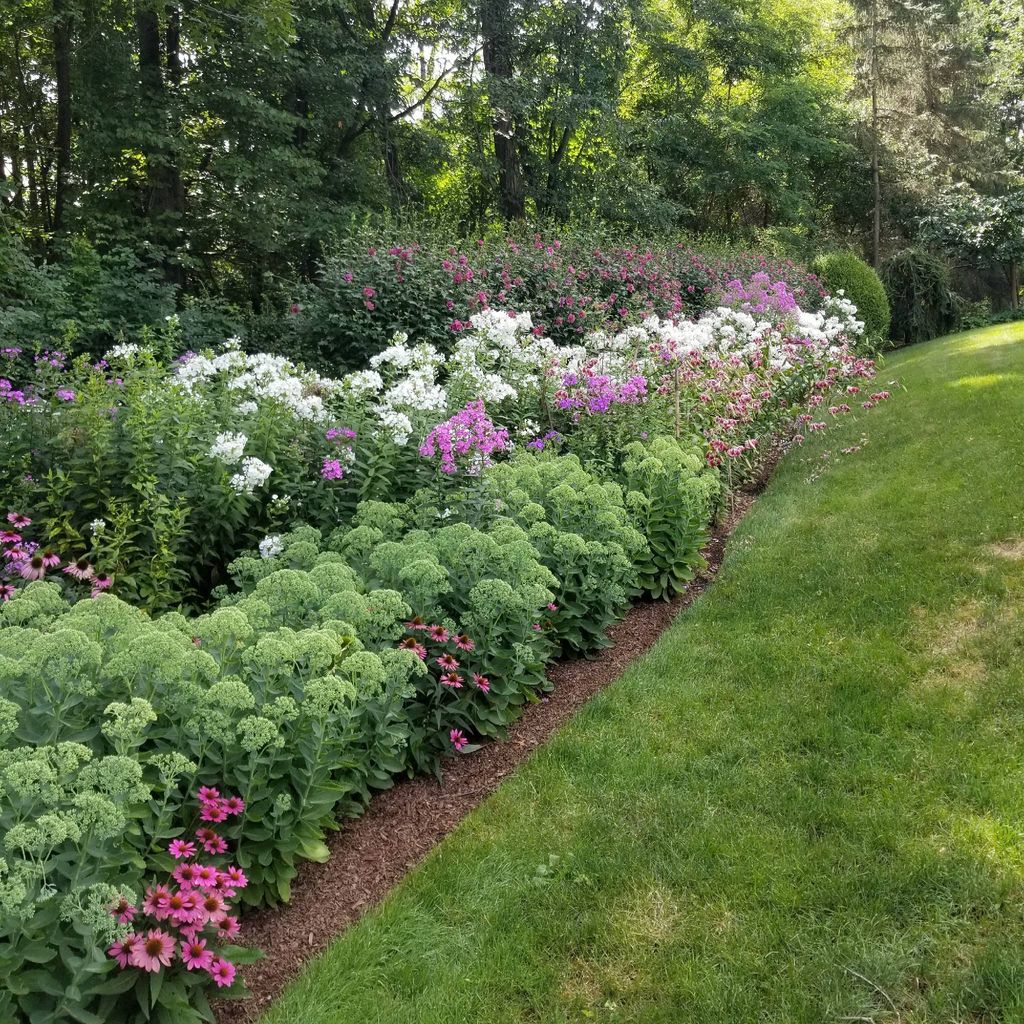 Yeltsy Lopez - Gardening Services