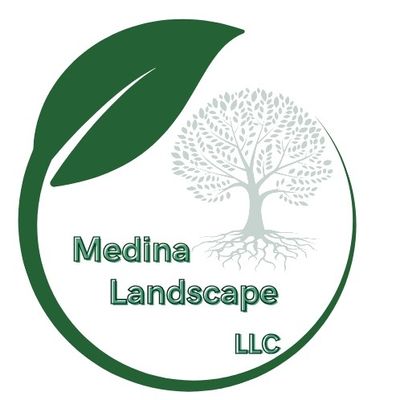 Avatar for Medina landscape