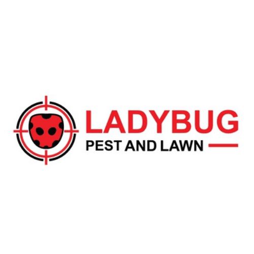 LadyBug Pest and Lawn