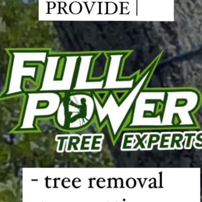 Avatar for Full power tree experts