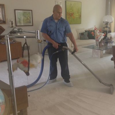 Avatar for Jose's Deep Carpet Cleaning