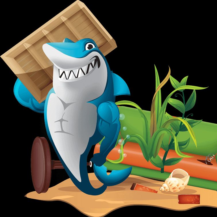 Santa Cruz Junk Removal & Home Services