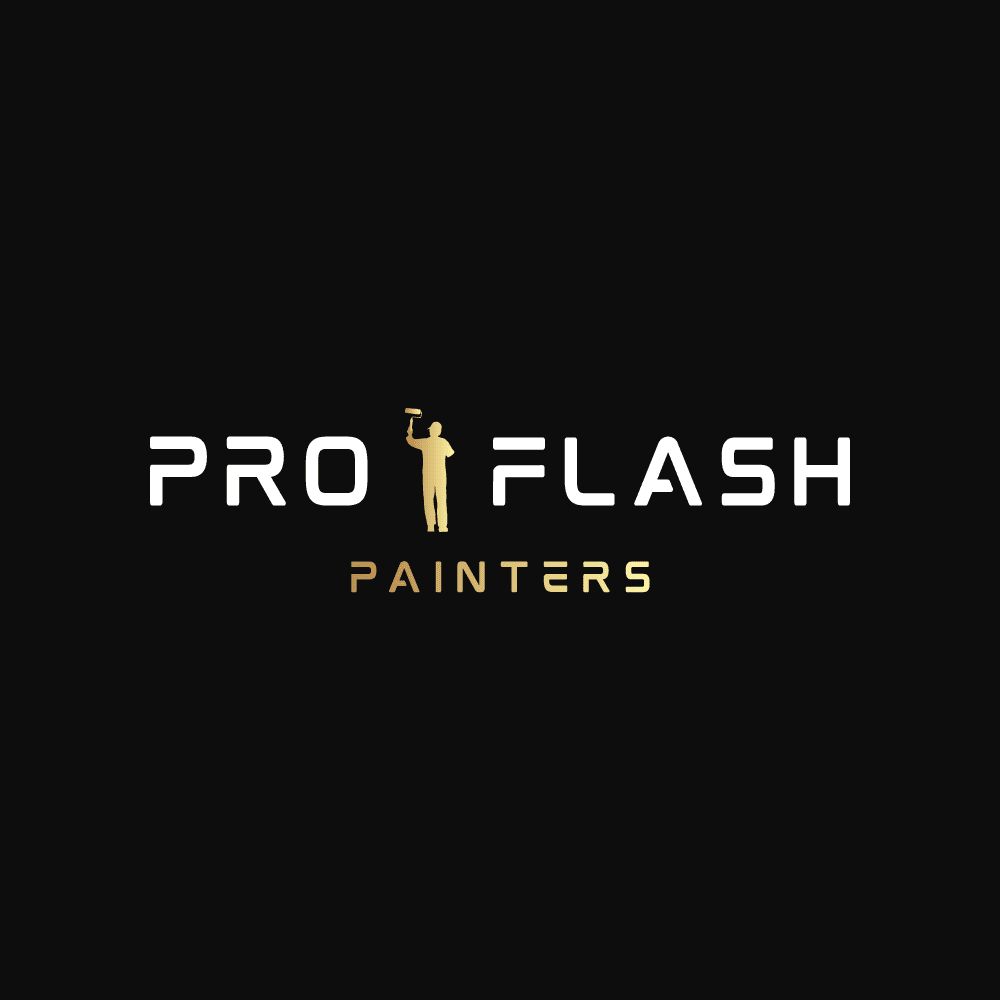 ProFlash Painters