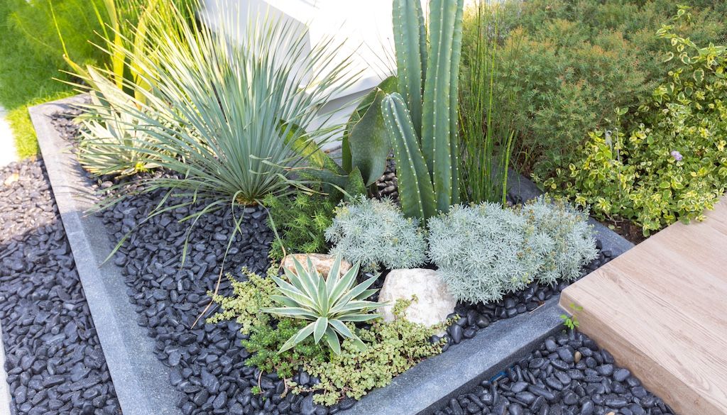 rock garden in lawn