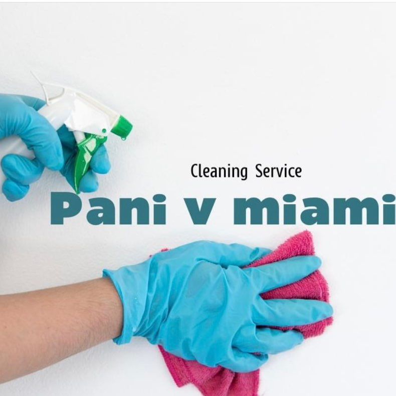 Panivmiami Cleaning Services