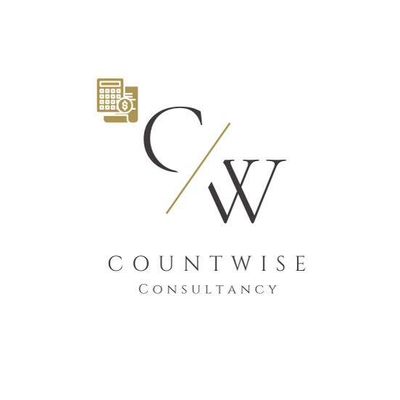 Avatar for CountWise Consultancy LLC