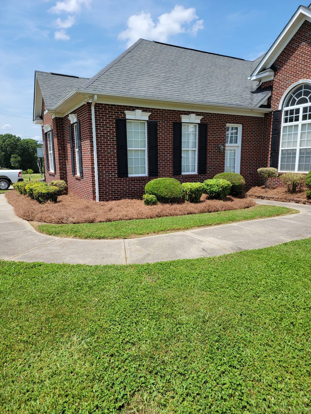 Shrub Trimming and Pine Needle Installation