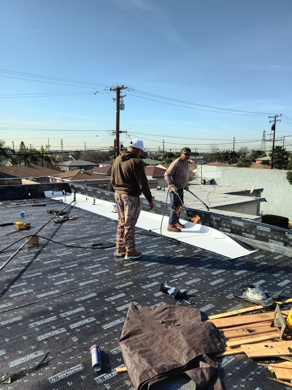 Projects and media