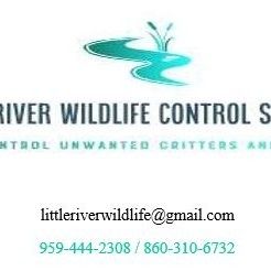 Little River wildlife control