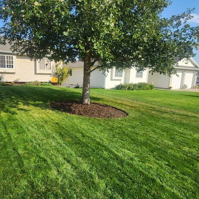 Avatar for TC Lawns LLC