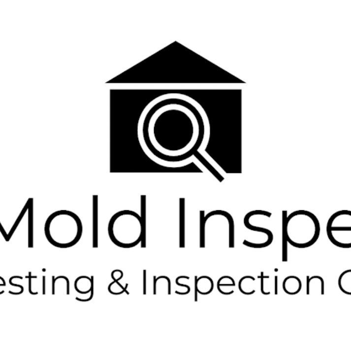 Mr. Mold Inspector