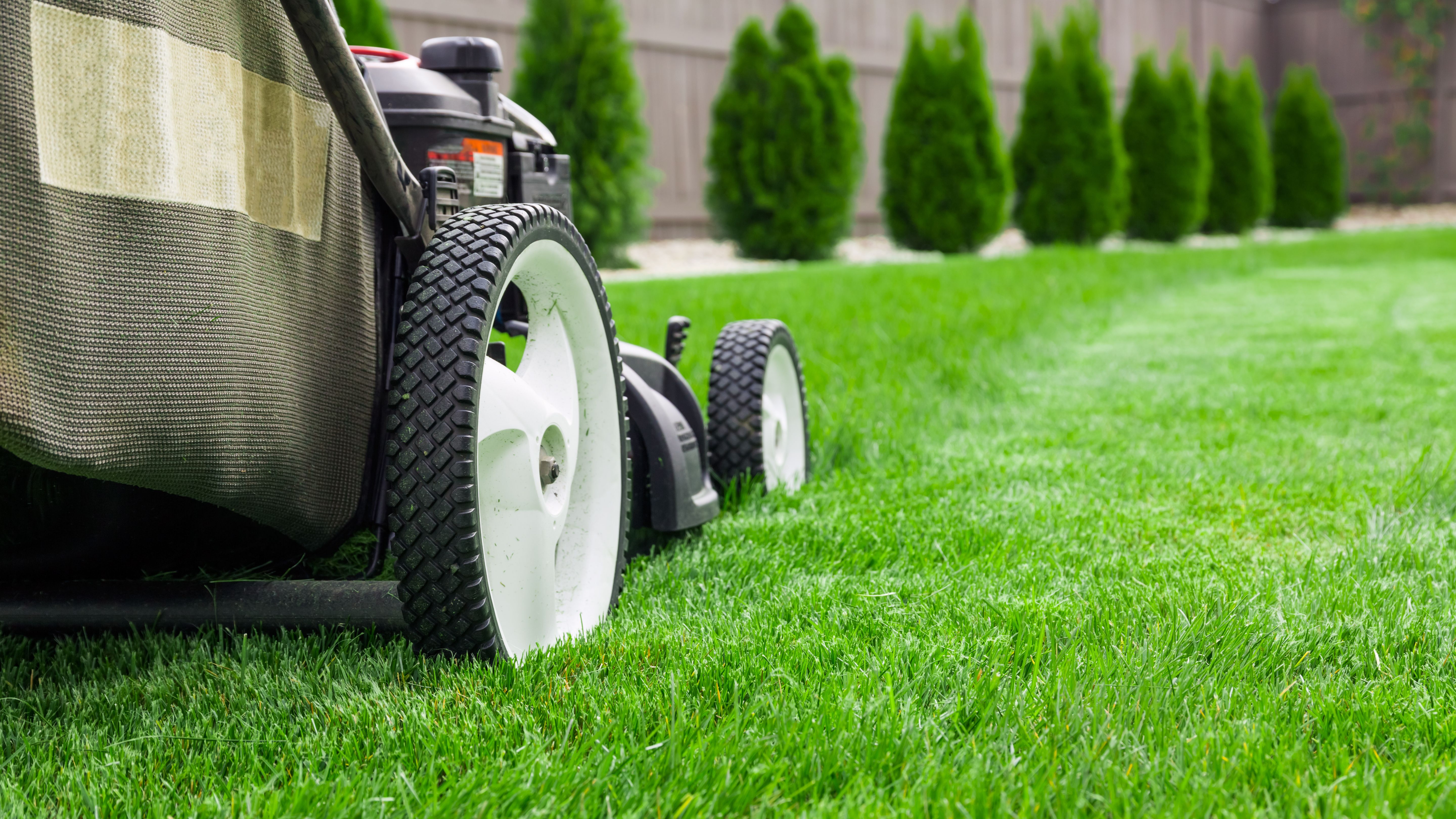 mowing the lawn