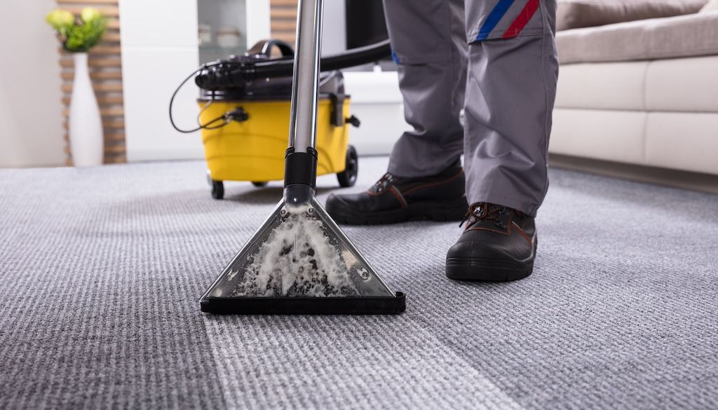 professional carpet cleaning