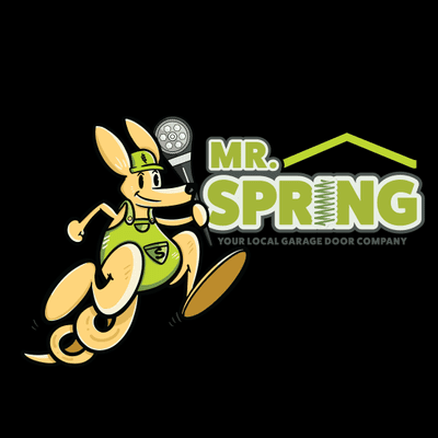 Avatar for Mr. Spring