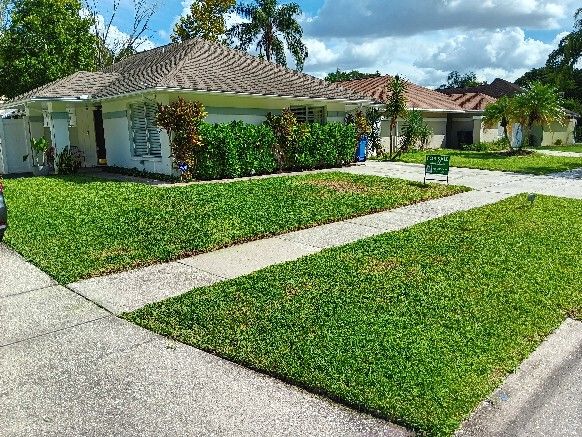 Lawn Mowed and edged