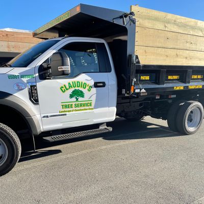 Avatar for Claudio’s tree service & landscape construction