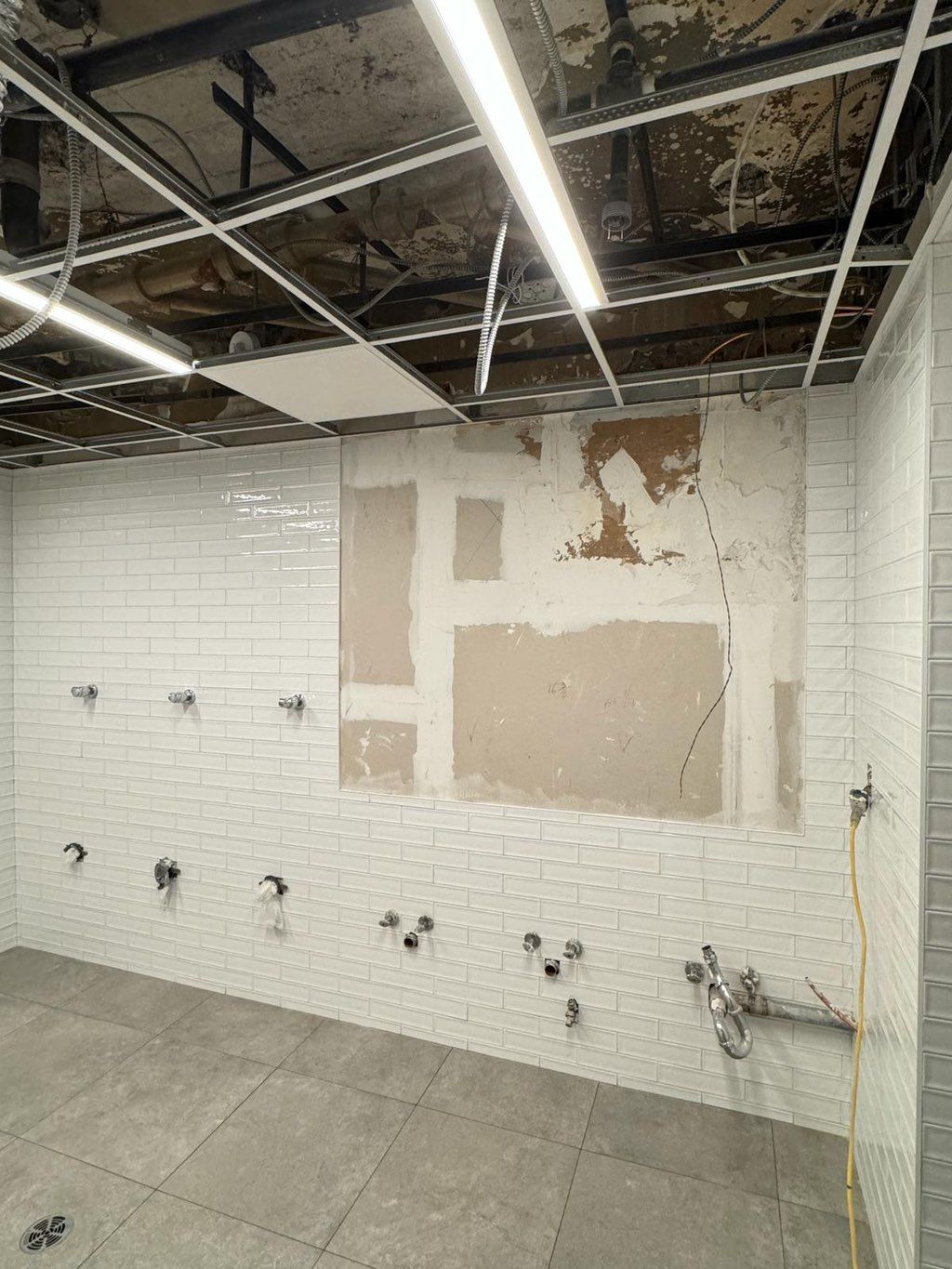 Projects and media