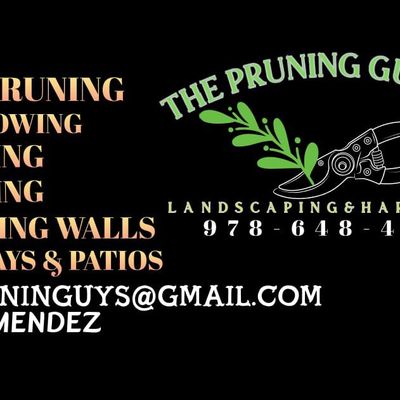 Avatar for THE PRUNING GUYS INC.