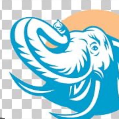 Avatar for Elephant Construction LLC