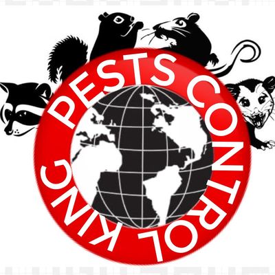 Avatar for King Pests  Control