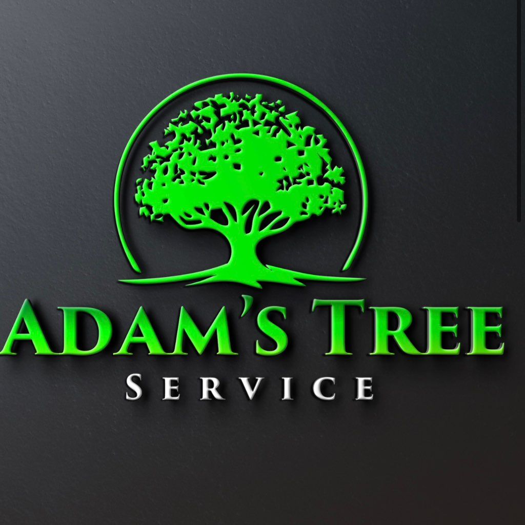 Adam rivas