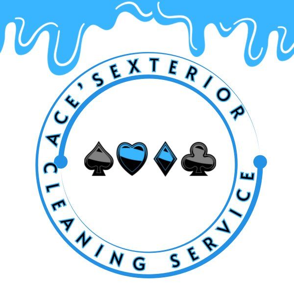 Ace’s exterior cleaning service
