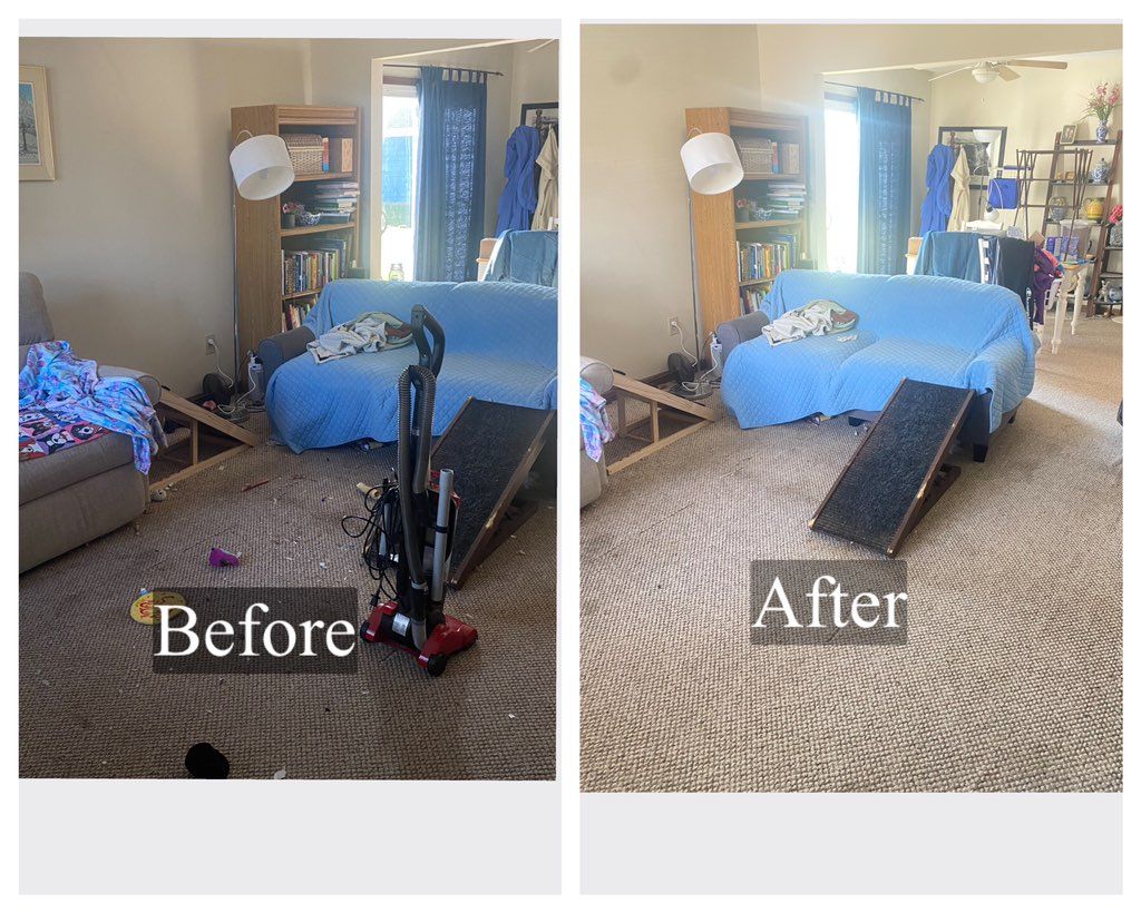DEEP CLEAN OF LIVING ROOM