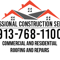 Avatar for Professional Construction Services