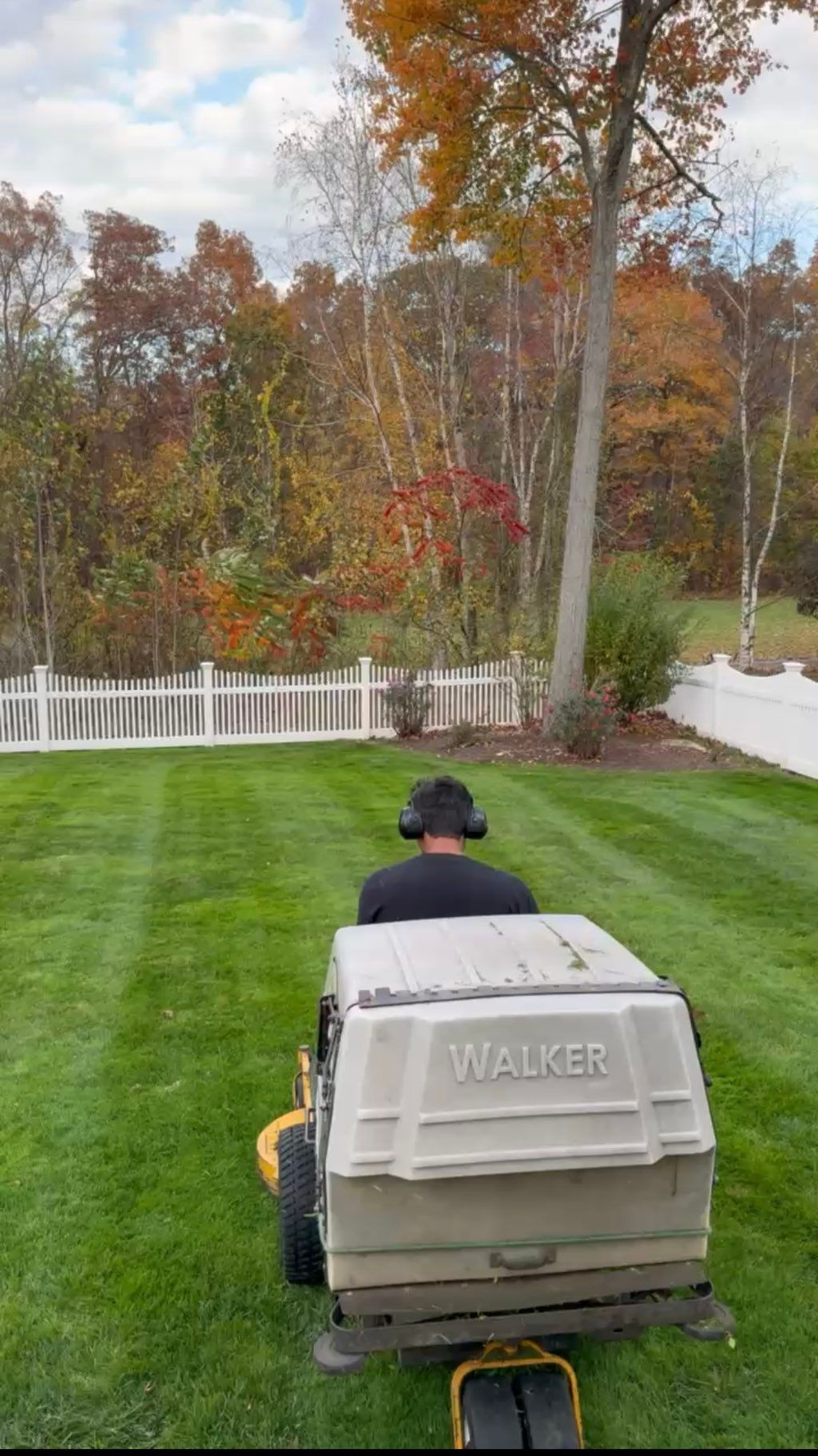On the walker freshly mowing a lawn 