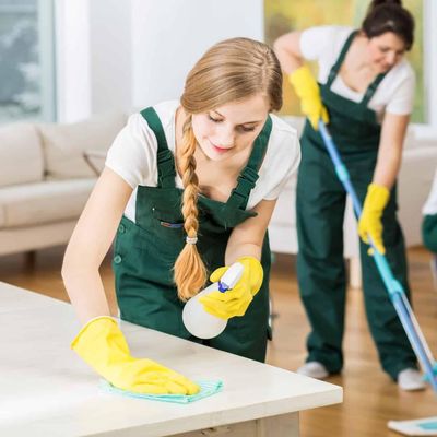 Avatar for G & A Maid Services