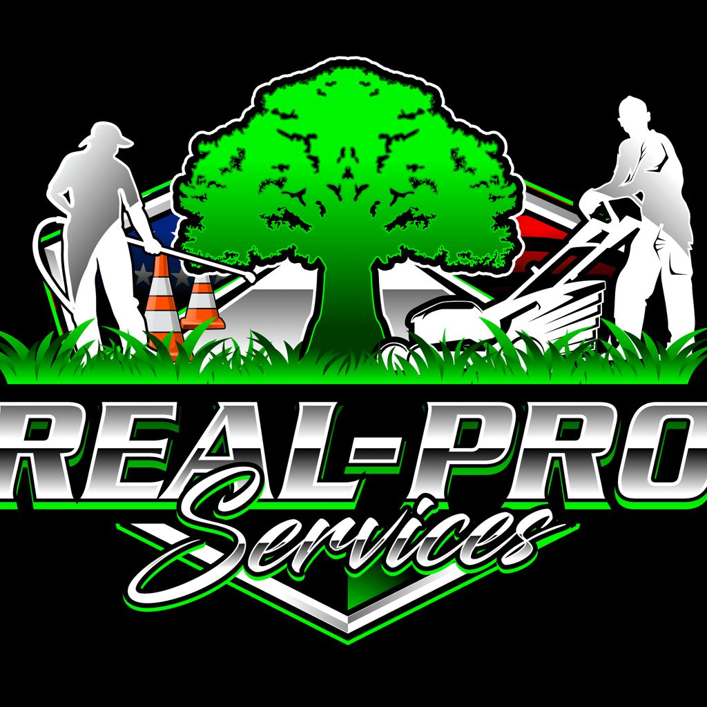 Real-Pro Services