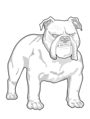 Avatar for Miller Law LLP  Home of the Texas Bulldog