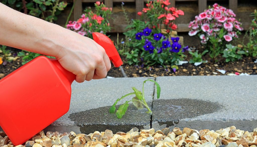 killing weeds in flower bed garden pavers with post emergent herbicide