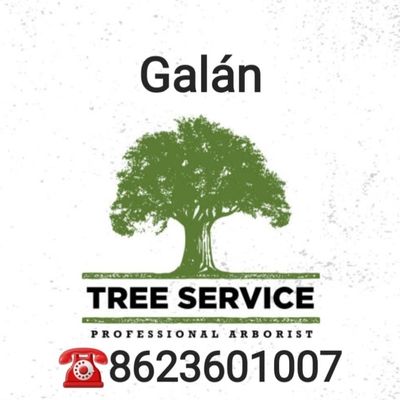 Avatar for Galan tree service