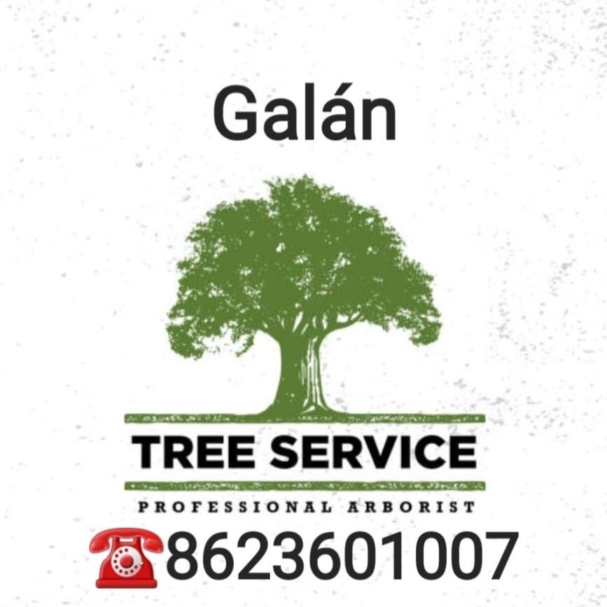 Galan tree service