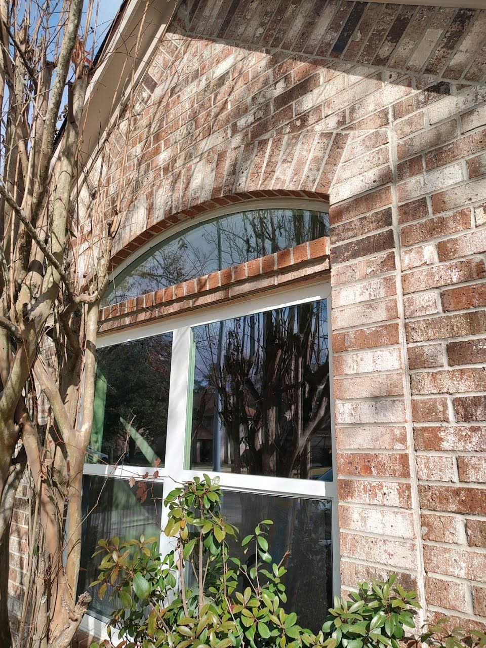 eyebrow window