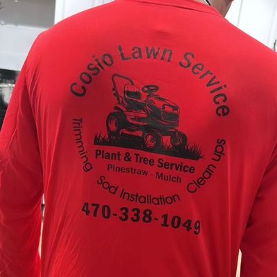 Avatar for Cosio landscaping