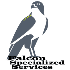 Avatar for Falcon Specialized Services Llc.