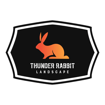 Avatar for Thunder Rabbit