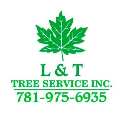 Avatar for L&T TREE SERVICES INC