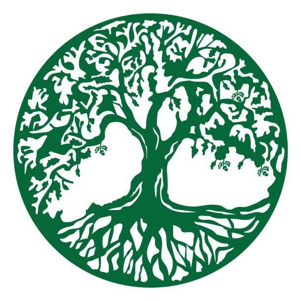 Dustin’s lawn and tree service llc
