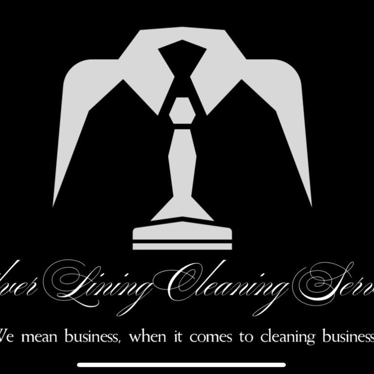 Silver Lining Cleaning Services LLC